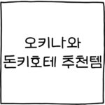 오키나와 돈키호테 추천템