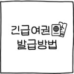 긴급여권