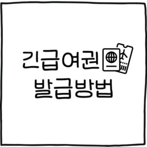 긴급여권 발급  필요서류 인정국가