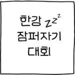 한강 잠퍼자기 대회