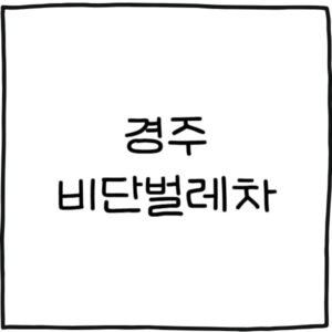경주 비단벌레차 예약 바로가기