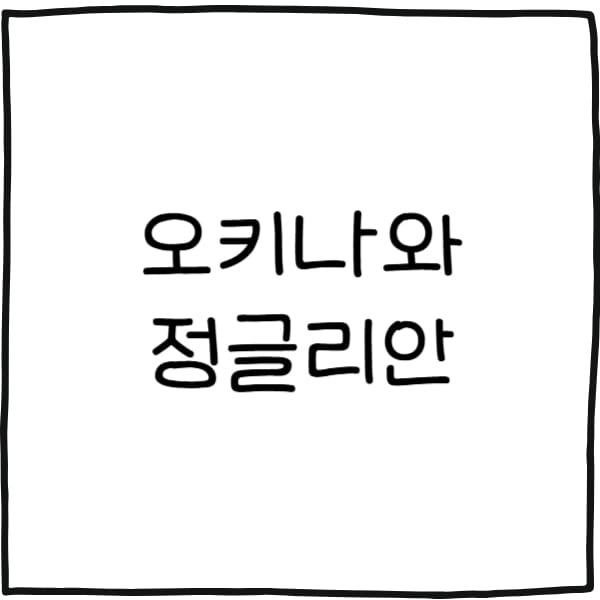 오키나와 정글리안