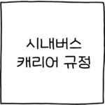 시내버스 캐리어 규정