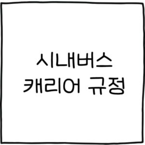 시내버스 고속버스 캐리어 규정