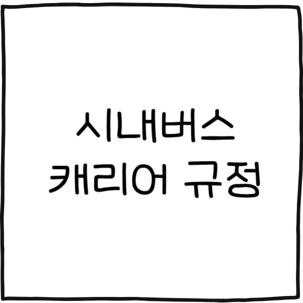 시내버스 캐리어 규정