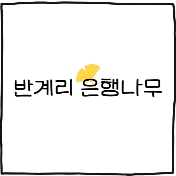 반계리 은행나무