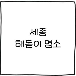 세종 해돋이 명소 8곳