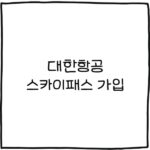대한항공 스카이패스 가입