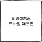 티웨이항공 모바일 체크인